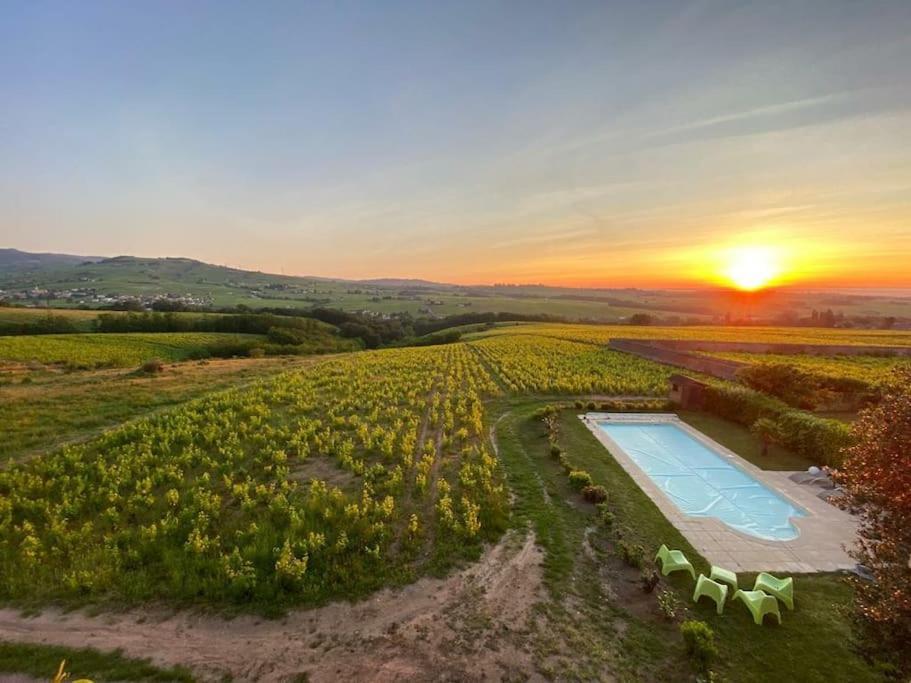Au Coeur Des Vignes Chenas Du Beaujolais Appartement La Chapelle-de-Guinchay Buitenkant foto