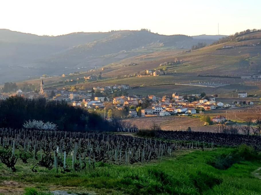 Au Coeur Des Vignes Chenas Du Beaujolais Appartement La Chapelle-de-Guinchay Buitenkant foto